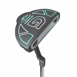 Ray Cook Gyro Women's Graphite Golf Set - Right Hand - Ladies Flex - 9 Clubs + Bag -Clubs sales api28hx3p 89330.1592371591 1